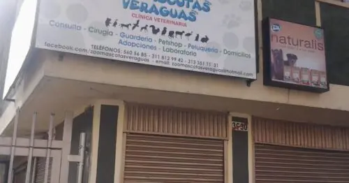 ZOOMASCOTAS VERAGUAS ZOOMASCOTAS VERAGUAS